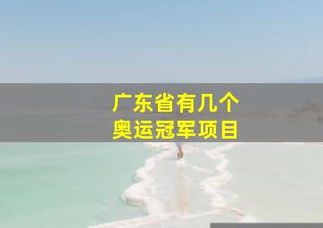 广东省有几个奥运冠军项目