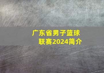 广东省男子篮球联赛2024简介