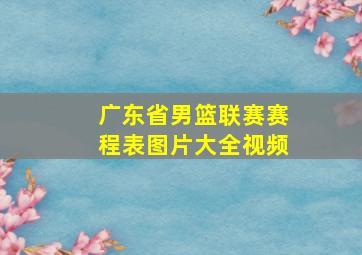 广东省男篮联赛赛程表图片大全视频