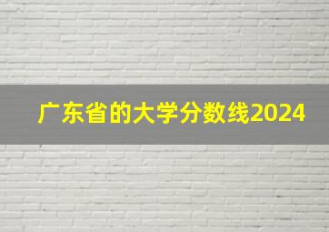 广东省的大学分数线2024