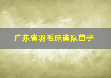 广东省羽毛球省队苗子