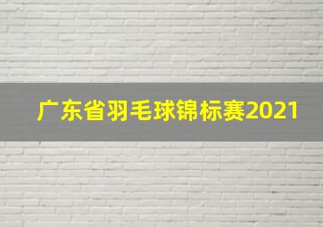 广东省羽毛球锦标赛2021