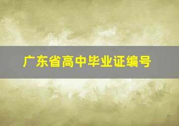 广东省高中毕业证编号