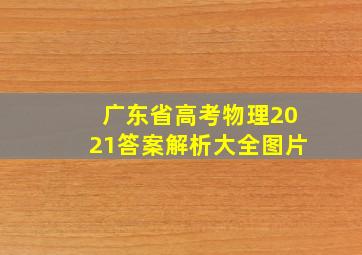 广东省高考物理2021答案解析大全图片