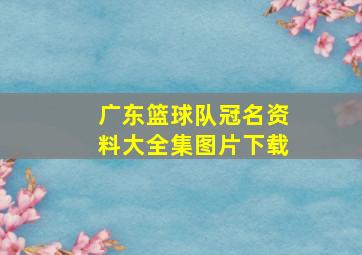 广东篮球队冠名资料大全集图片下载