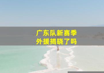 广东队新赛季外援揭晓了吗