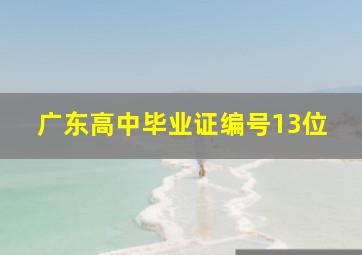 广东高中毕业证编号13位