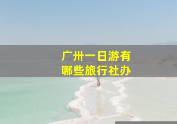 广卅一日游有哪些旅行社办