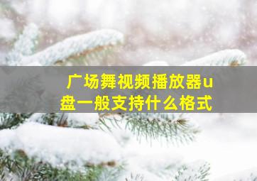 广场舞视频播放器u盘一般支持什么格式