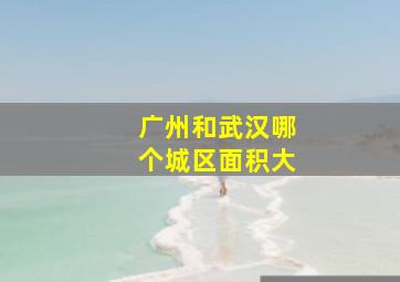 广州和武汉哪个城区面积大