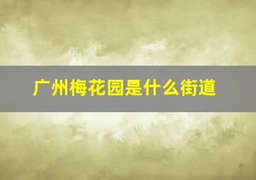 广州梅花园是什么街道