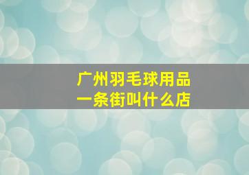 广州羽毛球用品一条街叫什么店