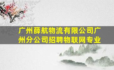 广州薛航物流有限公司广州分公司招聘物联网专业