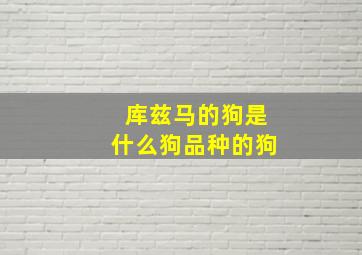 库兹马的狗是什么狗品种的狗