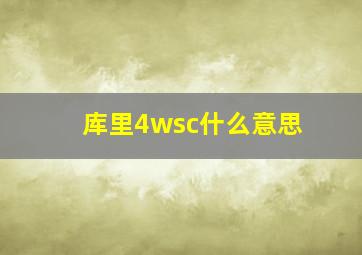 库里4wsc什么意思