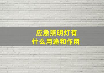 应急照明灯有什么用途和作用