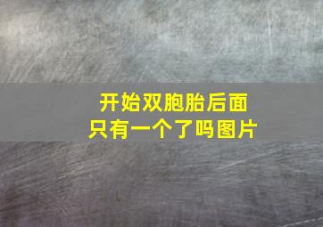 开始双胞胎后面只有一个了吗图片