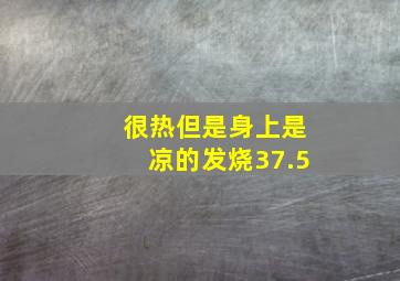 很热但是身上是凉的发烧37.5