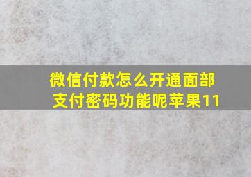 微信付款怎么开通面部支付密码功能呢苹果11