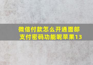 微信付款怎么开通面部支付密码功能呢苹果13