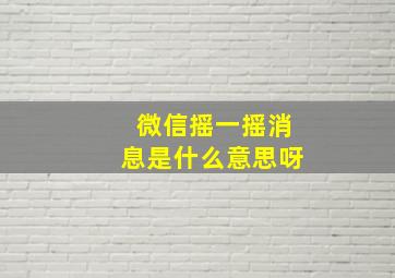 微信摇一摇消息是什么意思呀