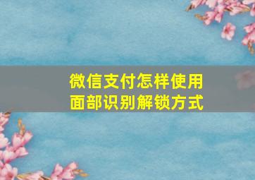 微信支付怎样使用面部识别解锁方式