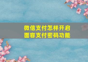 微信支付怎样开启面容支付密码功能