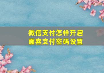 微信支付怎样开启面容支付密码设置