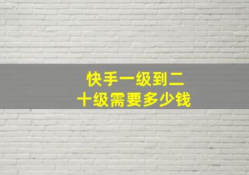 快手一级到二十级需要多少钱