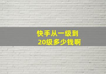 快手从一级到20级多少钱啊