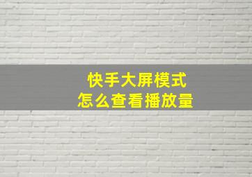 快手大屏模式怎么查看播放量