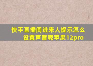 快手直播间进来人提示怎么设置声音呢苹果12pro