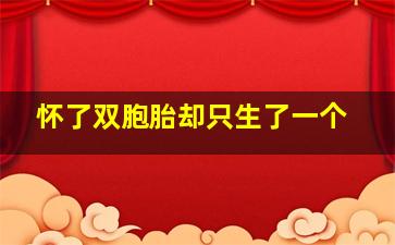 怀了双胞胎却只生了一个