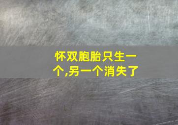 怀双胞胎只生一个,另一个消失了