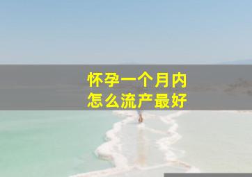 怀孕一个月内怎么流产最好