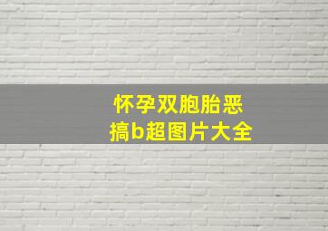 怀孕双胞胎恶搞b超图片大全