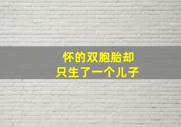 怀的双胞胎却只生了一个儿子