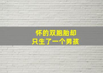 怀的双胞胎却只生了一个男孩