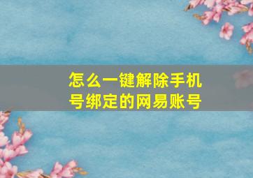 怎么一键解除手机号绑定的网易账号