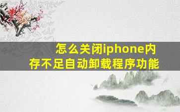 怎么关闭iphone内存不足自动卸载程序功能