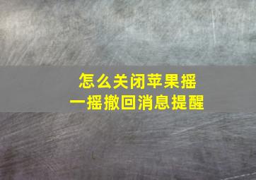 怎么关闭苹果摇一摇撤回消息提醒