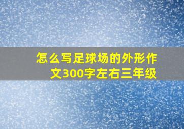 怎么写足球场的外形作文300字左右三年级