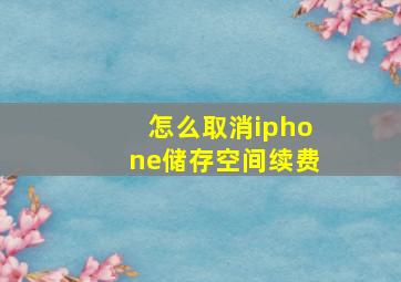 怎么取消iphone储存空间续费