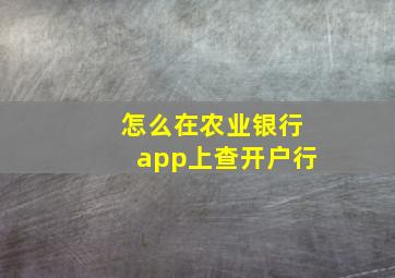 怎么在农业银行app上查开户行