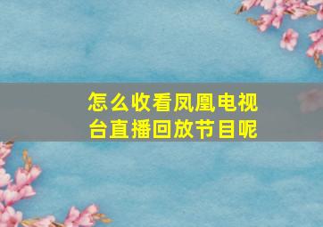 怎么收看凤凰电视台直播回放节目呢