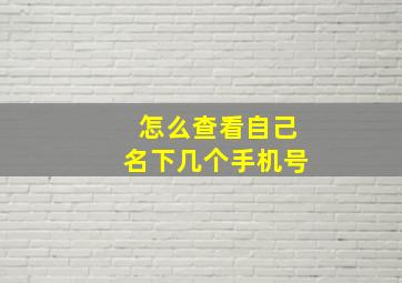 怎么查看自己名下几个手机号