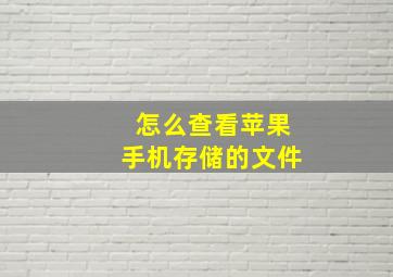 怎么查看苹果手机存储的文件