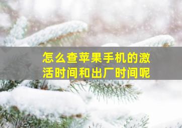 怎么查苹果手机的激活时间和出厂时间呢