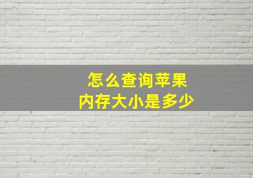 怎么查询苹果内存大小是多少