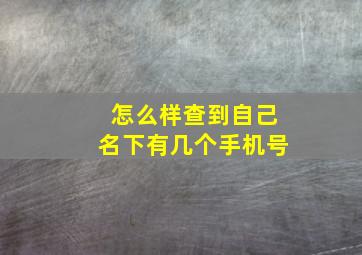 怎么样查到自己名下有几个手机号